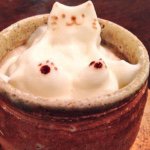 10949066_433347220148516_1642558963_a