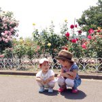 11325718_1661887670697204_83116719_a