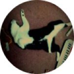 Profile_575609047_75sq_1380175560