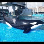 Profile_8494215_75sq_1381592618