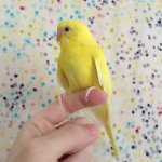 10748020_825057660889765_1726376094_a