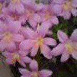 Profile_14772014_75sq_1365693953