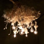 11275164_1631557940392223_1564784611_a