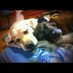 Profile_48518813_75sq_1366374783