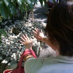 924615_1574088692829684_667273109_a