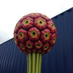 11084872_867831029926936_1674492593_a