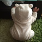 1971324_429364913898189_1944145955_a