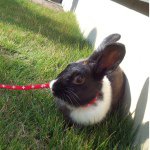 10755824_352038044977003_592412520_a