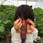 11176297_1822805781278422_313626324_a