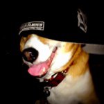 Profile_20274791_75sq_1376480612