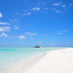 11015512_345483858992884_1076960013_a