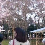 11085021_926467387374031_186448554_a