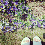 11324279_654330874666580_1426569069_a