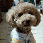 10986184_885192628198512_166173249_a