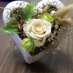 11313230_803303663086345_2005878271_a