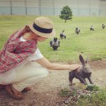 Profile_249500967_75sq_1375406456