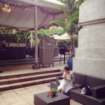 11352954_1664368303783672_1465187280_a