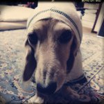 Profile_32516079_75sq_1361792103