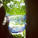 Profile_221097567_75sq_1349965369