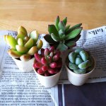 10808930_1412235359066951_328913438_a