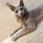 10254356_1395218534125721_1441429043_a