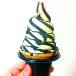 11382925_308199165970909_737717111_a