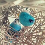 Profile_1187065841_75sq_1395069491