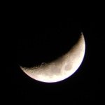 11024176_823085757766598_205085537_a