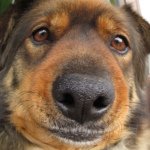 Profile_201018039_75sq_1397612134