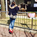 11247041_909843159073531_326591153_a