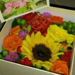 Profile_230489469_75sq_1349107631