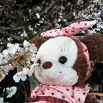 891389_1077163308966749_1727244432_a