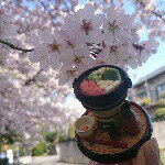 11093027_341634272714604_114975065_a