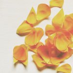 11232505_771875916264899_1321345199_a