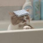 11201591_888068367953086_253309487_a