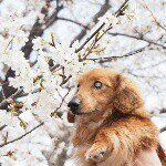 11252674_864456360306315_1216617355_a