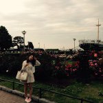 11380161_1455214594771264_2109649061_a