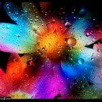 11023187_1072148069477999_1310762873_a