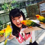 11313316_1589535634648194_1046269250_a