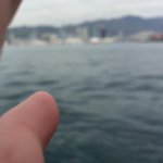 11328515_786295194816523_90582966_a