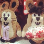 10755803_802293486500654_1322831771_a