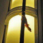 10684249_345419669001459_1742048107_a