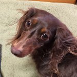 11111373_894425730580866_6758303_a