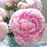 Profile_223684351_75sq_1370954215