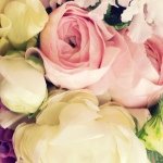 10514091_1662916207265975_1321962707_a