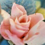 Profile_34744569_75sq_1333807464