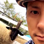 11373962_858799557548018_1507188270_a