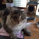 10513776_1445161685751515_1125556638_a