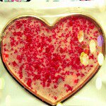 Profile_52238335_75sq_1336263576