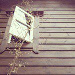 11355232_834265229962821_55641543_a